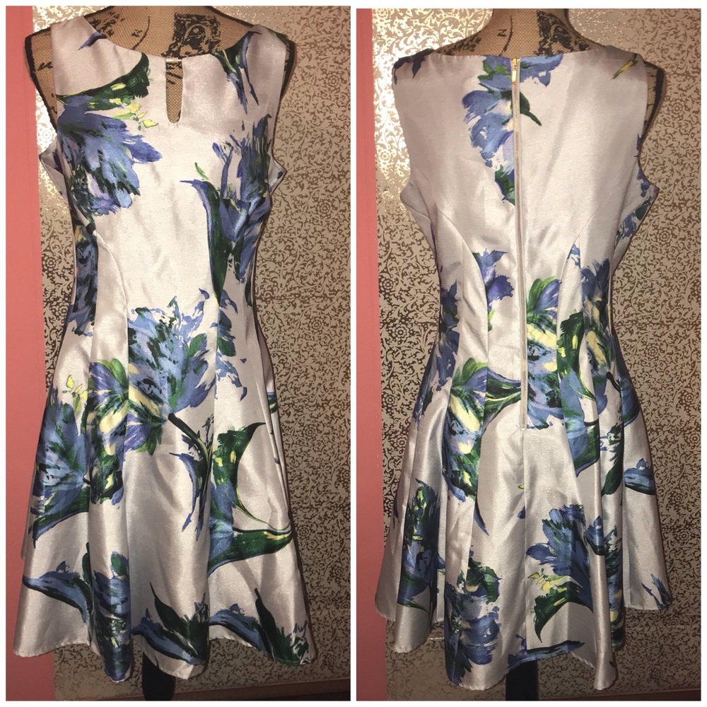Beautiful floral Dress dress barn